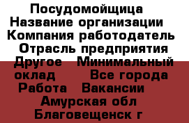 Посудомойщица › Название организации ­ Компания-работодатель › Отрасль предприятия ­ Другое › Минимальный оклад ­ 1 - Все города Работа » Вакансии   . Амурская обл.,Благовещенск г.